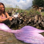 motoscafo sirene tra le isole lago maggiore stresa